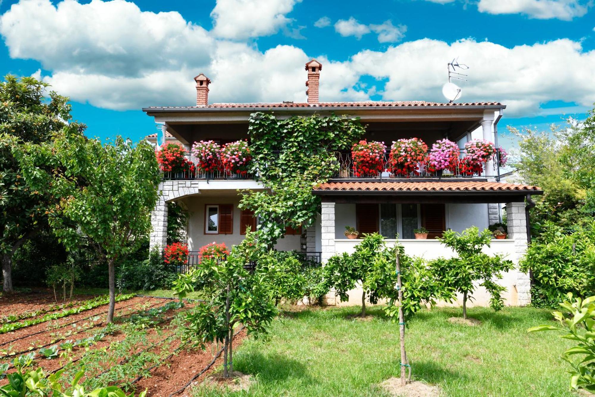Slavica Vrvari Apartamento *